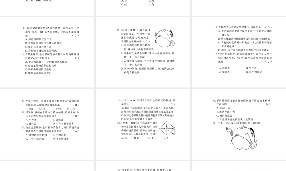 八年级生物下册 23 生态系统及其稳定性整理与复习课件 （新版）北师大版-（新版）北师大级下册生物课件