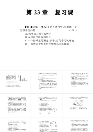 八年级生物下册 23 生态系统及其稳定性整理与复习课件 （新版）北师大版-（新版）北师大级下册生物课件
