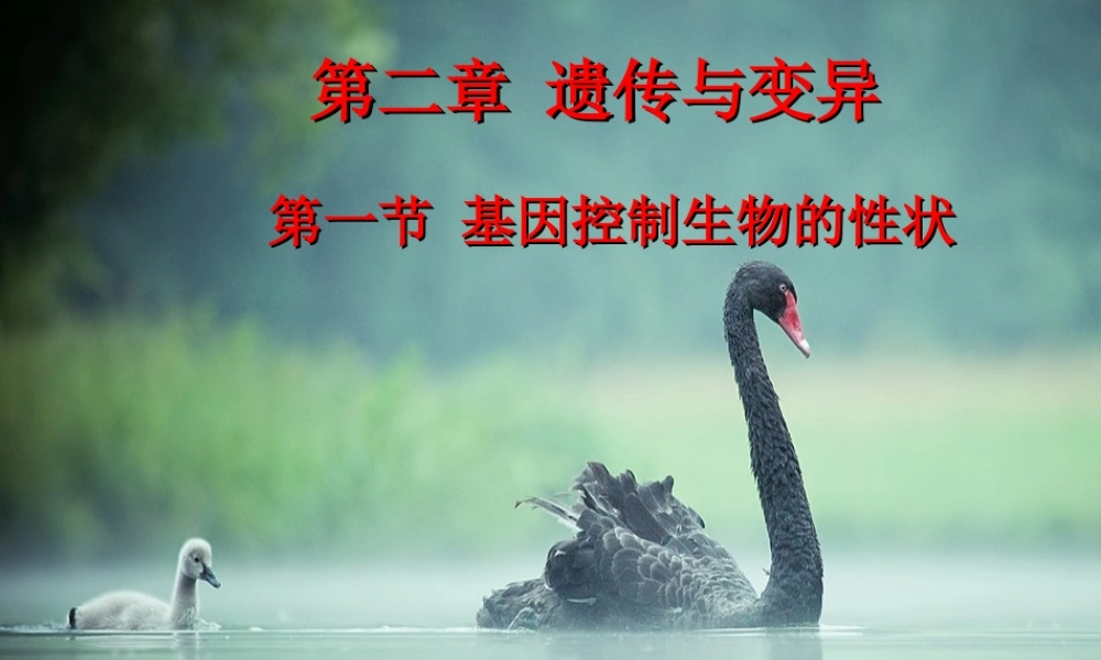 八年级生物下册 7.2.1 基因控制生物的性状教学课件 （新版）新人教版-（新版）新人教级下册生物课件