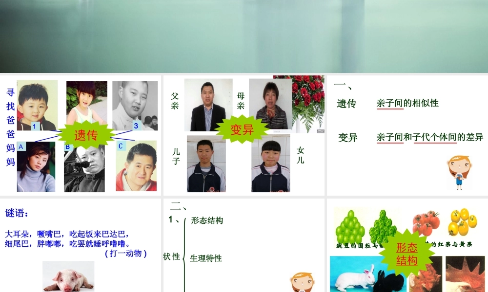 八年级生物下册 7.2.1 基因控制生物的性状教学课件 （新版）新人教版-（新版）新人教级下册生物课件