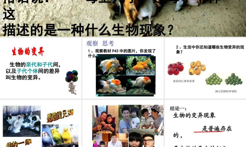 八年级生物下册 7.2.5 生物的变异课件2 （新版）新人教版