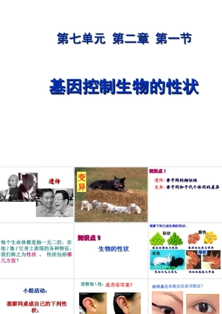 八年级生物下册 7.2.1 基因控制生物的性状课件 （新版）新人教版-（新版）新人教版初中八年级下册生物课件