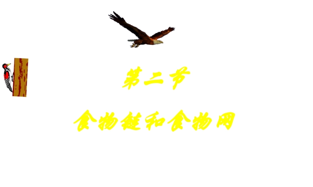 八年级生物下册 6.2.2 食物链课件 （新版）济南版-（新版）济南级下册生物课件