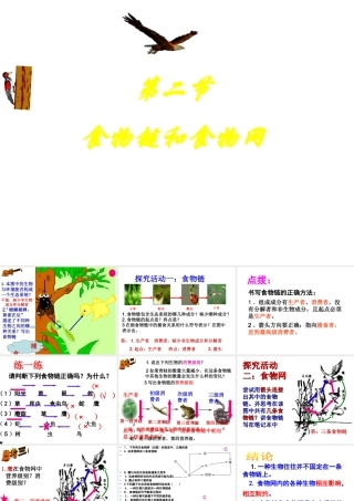 八年级生物下册 6.2.2 食物链课件 （新版）济南版-（新版）济南级下册生物课件