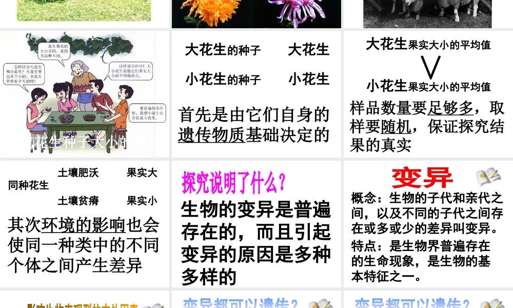 八年级生物下册 7.2.5 生物的变异课件2 新人教版