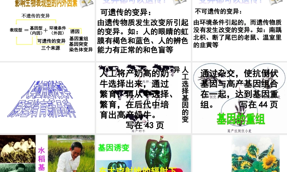 八年级生物下册 7.2.5 生物的变异课件2 新人教版