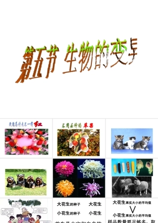 八年级生物下册 7.2.5 生物的变异课件2 新人教版