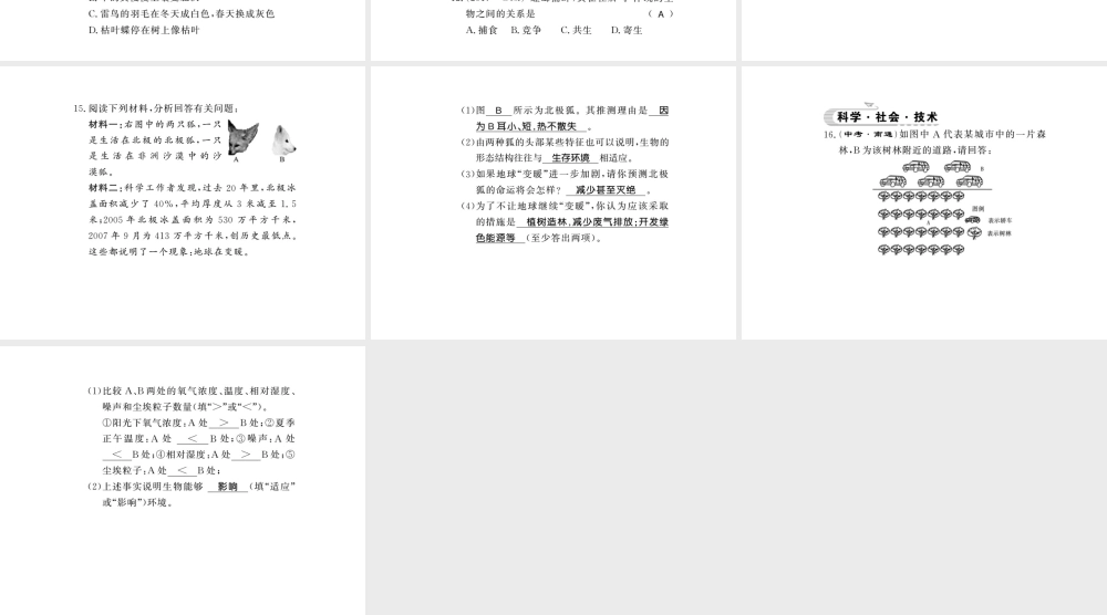 八年级生物下册 23.1 生物的生存依赖一定的环境课件 （新版）北师大版-（新版）北师大版初中八年级下册生物课件