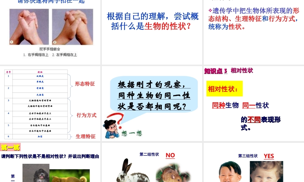 八年级生物下册 7.2.1 基因控制生物的性状课件 （新版）新人教版-（新版）新人教级下册生物课件