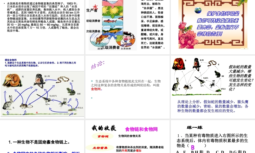 八年级生物下册 6.2.2《食物链和食物网》课件 济南版