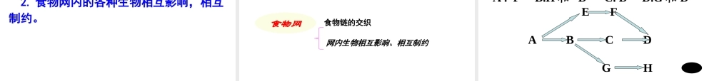 八年级生物下册 6.2.2《食物链和食物网》课件 济南版