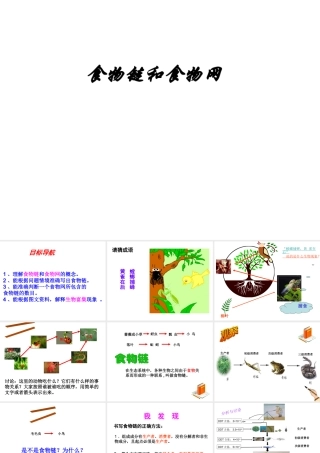 八年级生物下册 6.2.2《食物链和食物网》课件 济南版