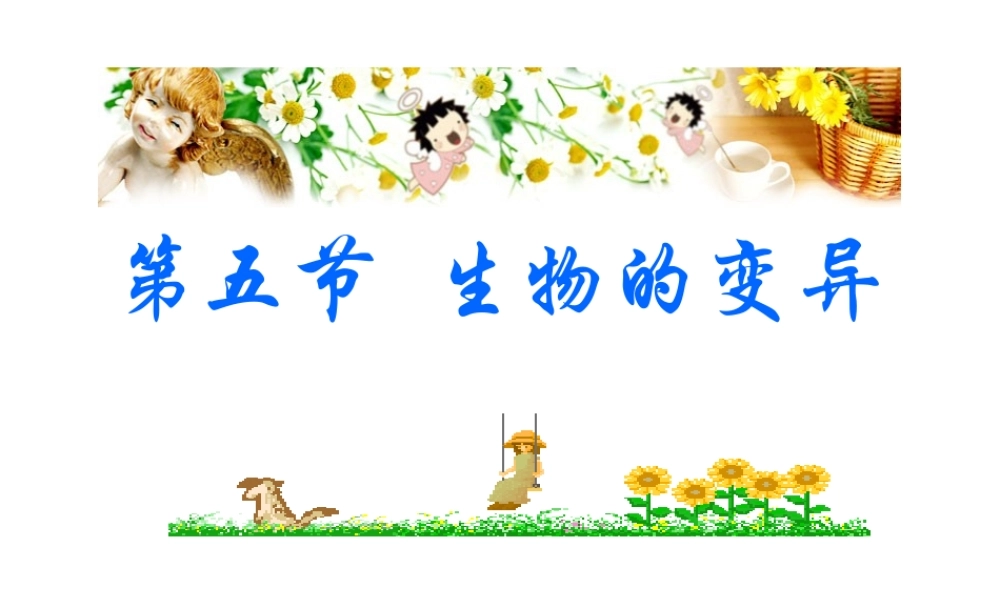 八年级生物下册 7.2.5 生物的变异课件3 （新版）新人教版