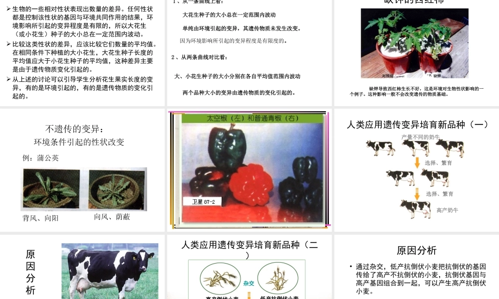 八年级生物下册 7.2.5 生物的变异课件3 （新版）新人教版