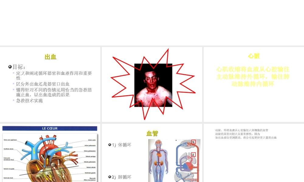 八年级生物下册 8.2 用药与急救——急救课件 （新版）新人教版-（新版）新人教版初中八年级下册生物课件
