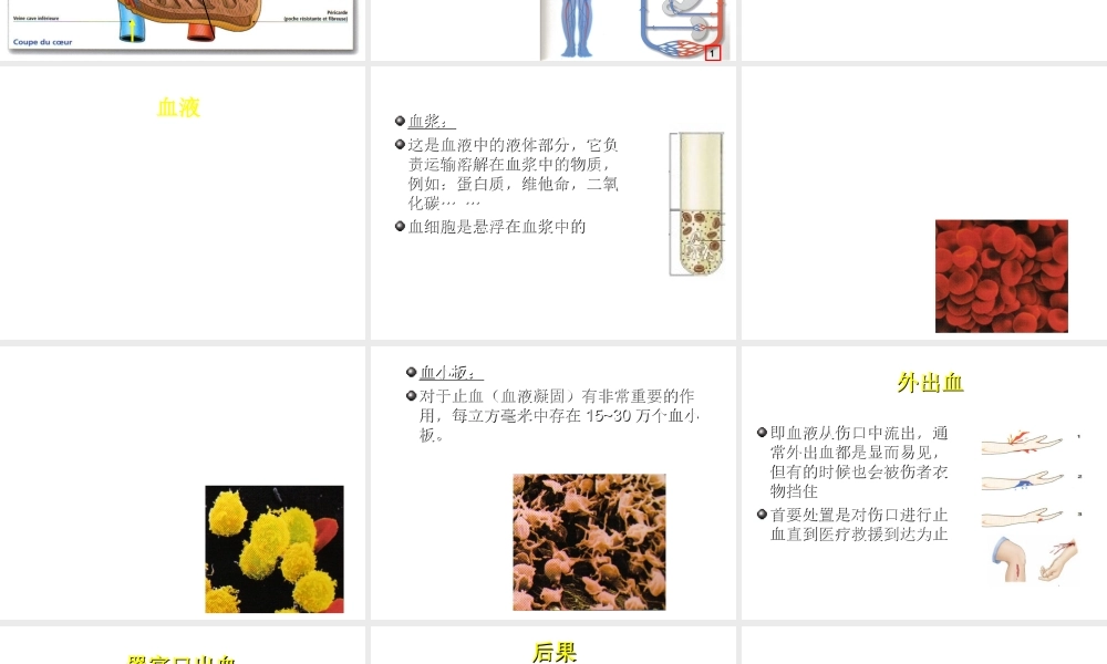 八年级生物下册 8.2 用药与急救——急救课件 （新版）新人教版-（新版）新人教版初中八年级下册生物课件