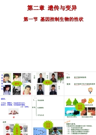 八年级生物下册 7.2.1 基因控制生物的性状课件 （新版）新人教版