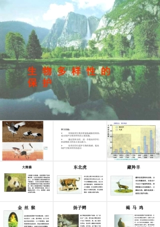八年级生物下册 6.2.2生物多样性的保护教学课件 济南版