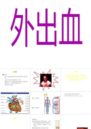 八年级生物下册 8.2 用药与急救--急救课件 （新版）新人教版-（新版）新人教级下册生物课件