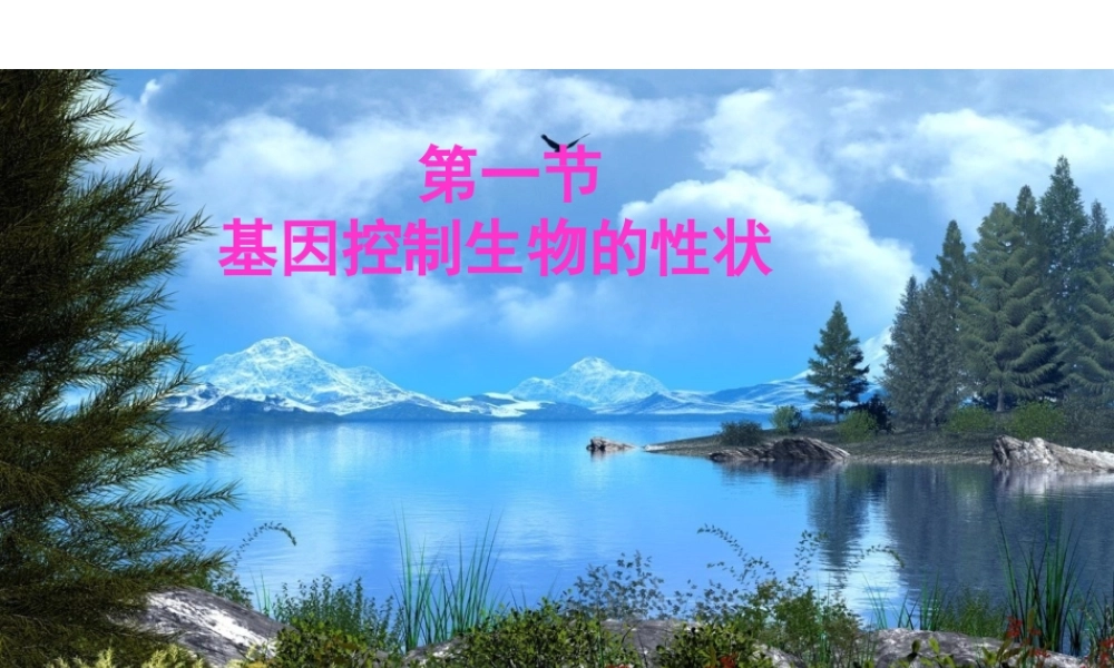 八年级生物下册 7.2.1 基因控制生物的性状课件 新人教版-新人教版初中八年级下册生物课件