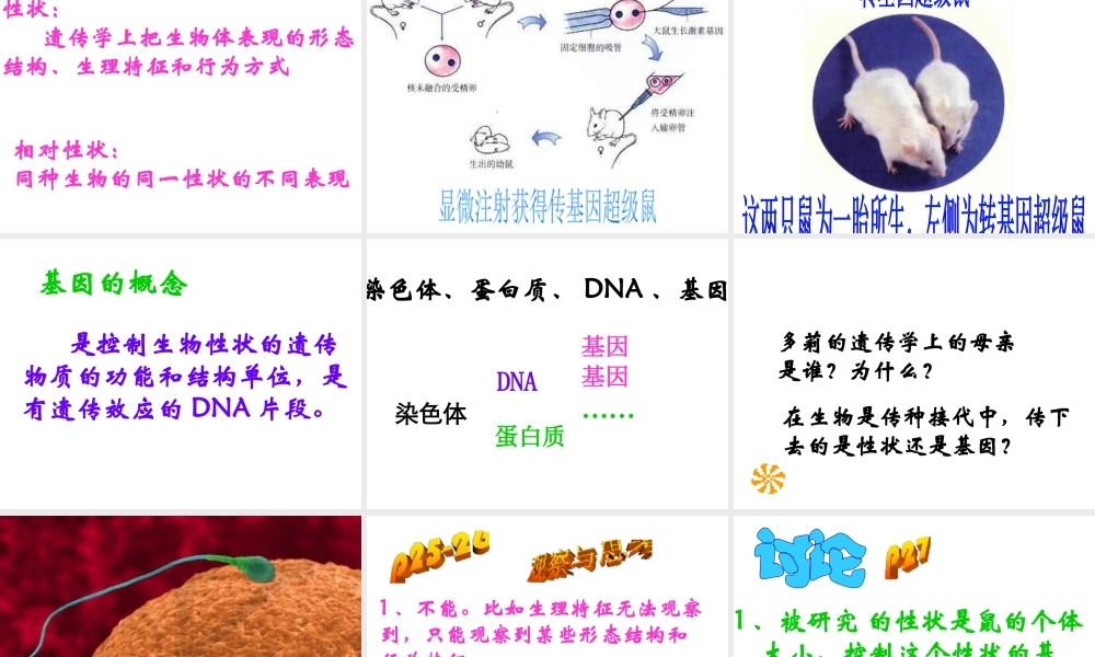 八年级生物下册 7.2.1 基因控制生物的性状课件 新人教版-新人教版初中八年级下册生物课件