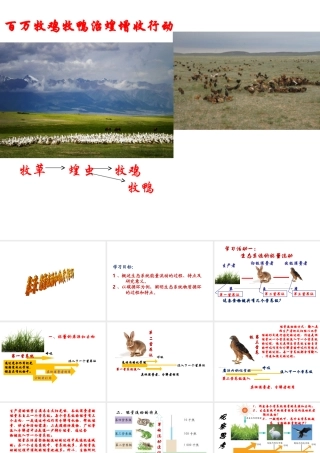 八年级生物下册 6.2.3 能量流动和物质循环课件 （新版）济南版-（新版）济南版初中八年级下册生物课件