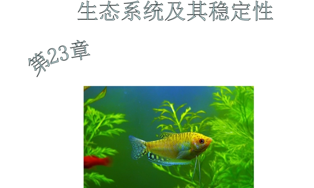 八年级生物下册 23.1 生物的生存依赖一定环境课件 北师大版-北师大版初中八年级下册生物课件