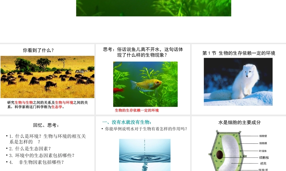 八年级生物下册 23.1 生物的生存依赖一定环境课件 北师大版-北师大版初中八年级下册生物课件