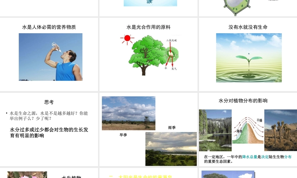 八年级生物下册 23.1 生物的生存依赖一定环境课件 北师大版-北师大版初中八年级下册生物课件