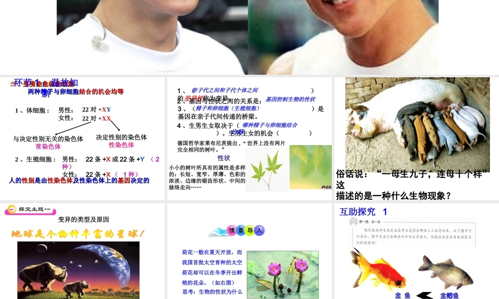 八年级生物下册 7.2.5 生物的变异课件3 新人教版