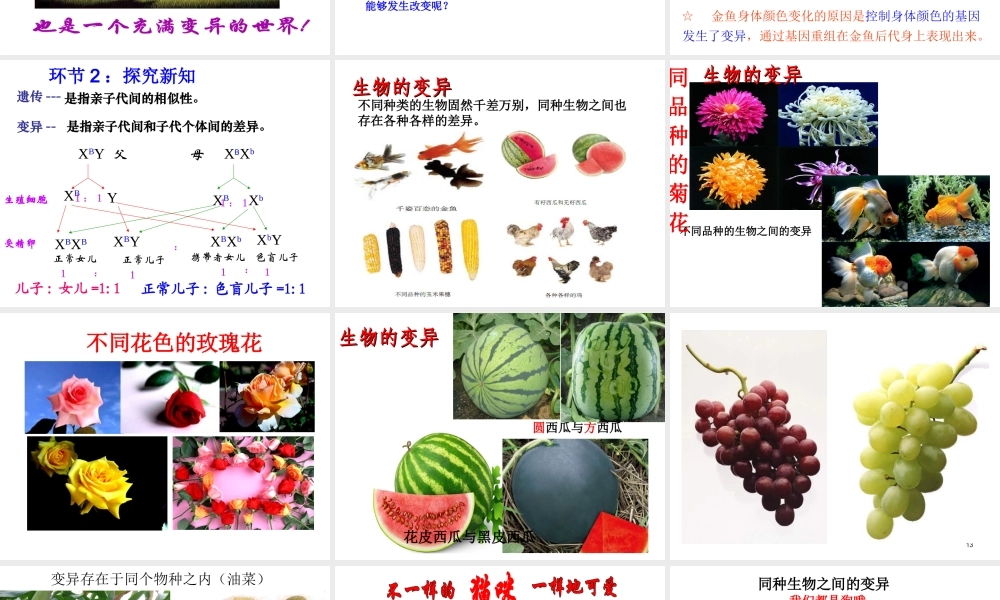 八年级生物下册 7.2.5 生物的变异课件3 新人教版