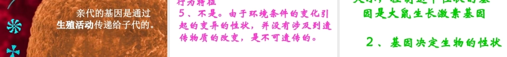 八年级生物下册 7.2.1 基因控制生物的性状课件 新人教版-新人教级下册生物课件