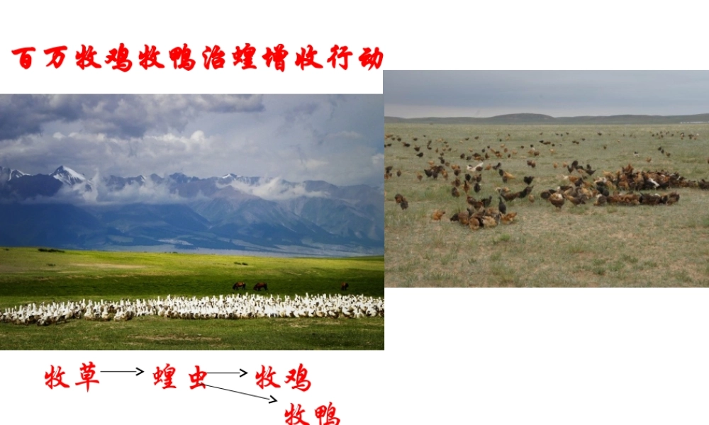 八年级生物下册 6.2.3 能量流动和物质循环课件 （新版）济南版-（新版）济南级下册生物课件