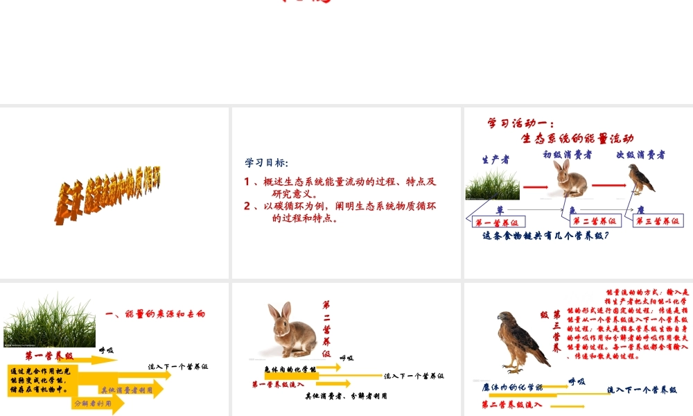 八年级生物下册 6.2.3 能量流动和物质循环课件 （新版）济南版-（新版）济南级下册生物课件