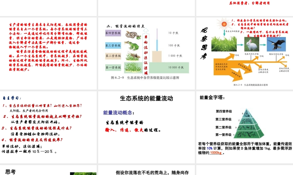 八年级生物下册 6.2.3 能量流动和物质循环课件 （新版）济南版-（新版）济南级下册生物课件