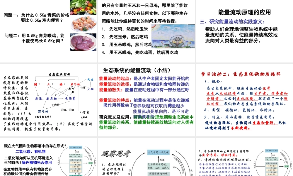 八年级生物下册 6.2.3 能量流动和物质循环课件 （新版）济南版-（新版）济南级下册生物课件
