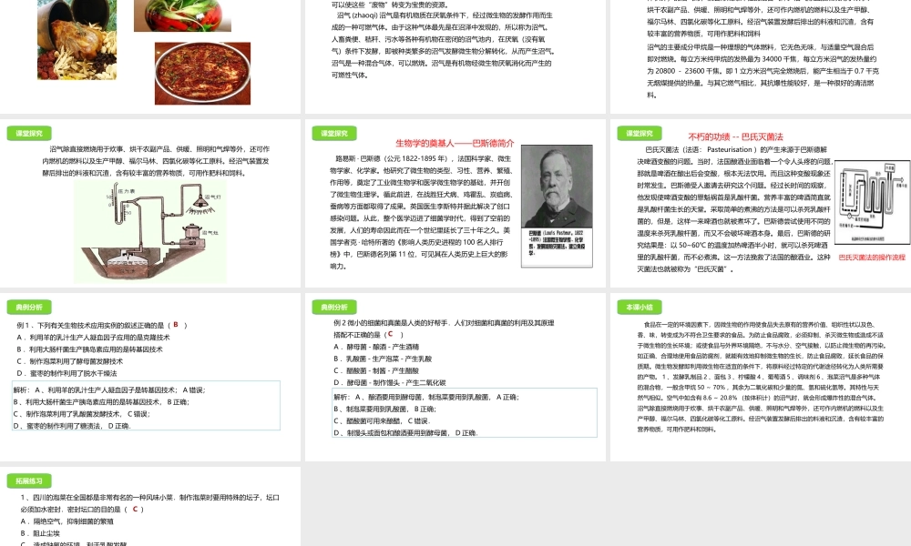 八年级生物下册 16.1 传统生物技术的应用课件 北京课改版-北京课改级下册生物课件