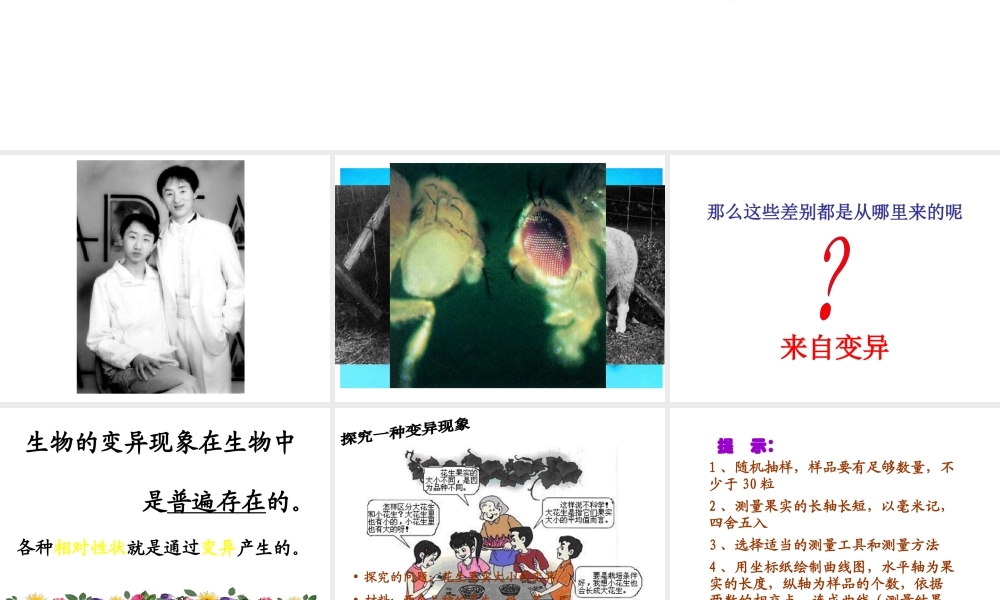 八年级生物下册 7.2.5 生物的变异课件4 （新版）新人教版