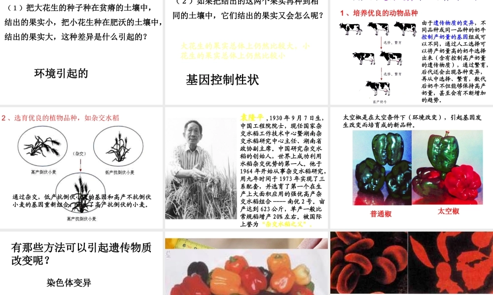 八年级生物下册 7.2.5 生物的变异课件4 （新版）新人教版