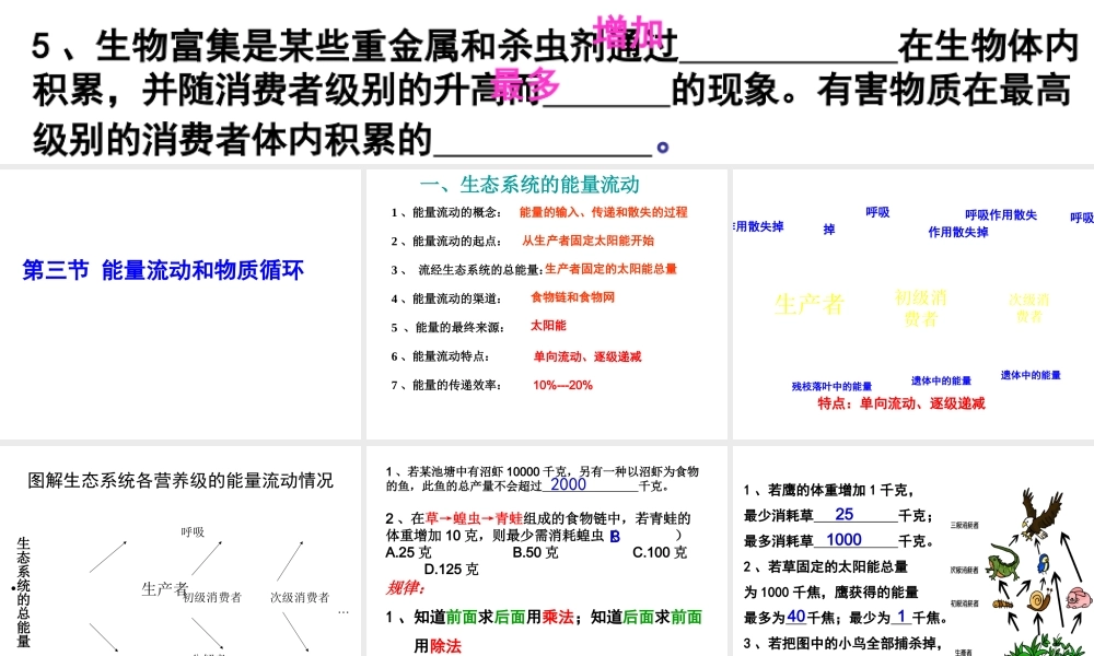 八年级生物下册 6.2.3 能量流动和物质循环课件1 （新版）济南版-（新版）济南版初中八年级下册生物课件