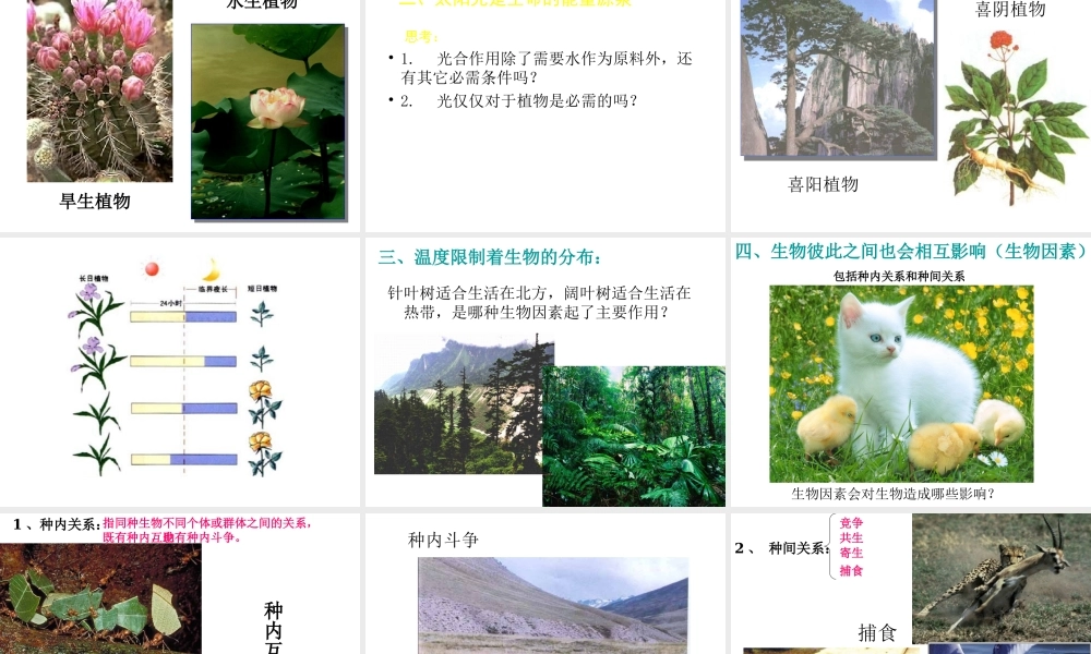 八年级生物下册 23.1 生物的生存依赖一定环境课件 北师大版-北师大级下册生物课件