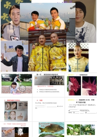 八年级生物下册 7.2.1 基因控制生物的性状课件1 （新版）新人教版