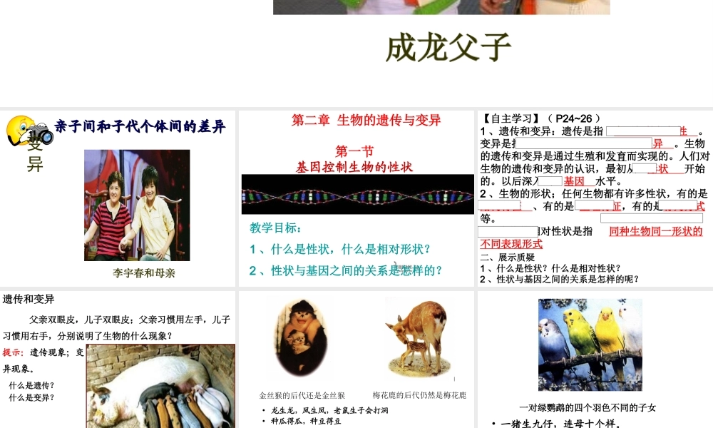 八年级生物下册 7.2.1 基因控制生物的性状课件1 新人教版