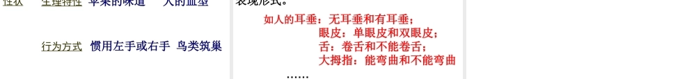 八年级生物下册 7.2.1 基因控制生物的性状课件1 新人教版
