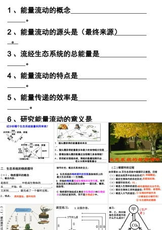 八年级生物下册 6.2.3 能量流动和物质循环课件2 （新版）济南版-（新版）济南版初中八年级下册生物课件