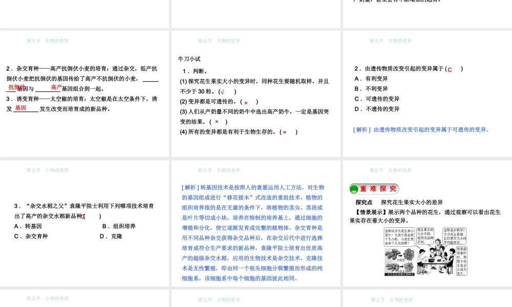 八年级生物下册 7.2.5生物的变异课件 （新版）新人教版-（新版）新人教版初中八年级下册生物课件