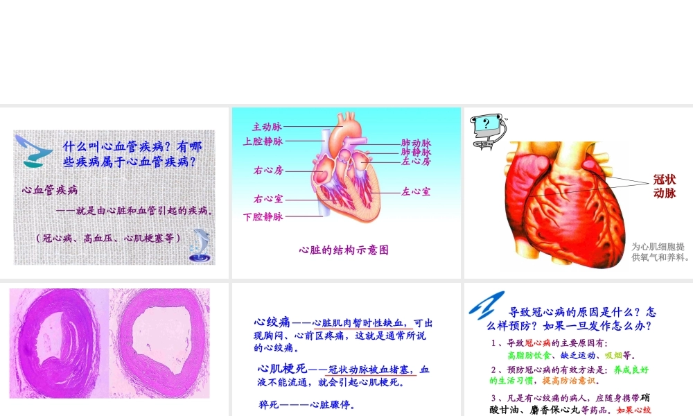 八年级生物下册 18.2 威胁健康的主要疾病课件 苏教版