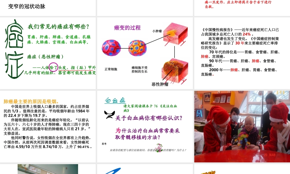 八年级生物下册 18.2 威胁健康的主要疾病课件 苏教版