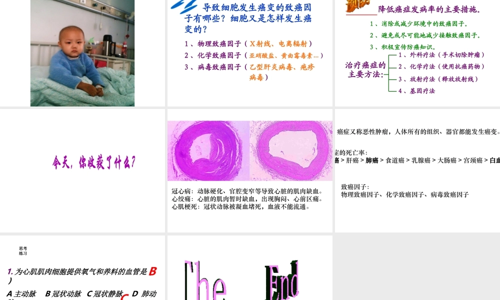 八年级生物下册 18.2 威胁健康的主要疾病课件 苏教版