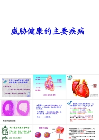 八年级生物下册 18.2 威胁健康的主要疾病课件 苏教版
